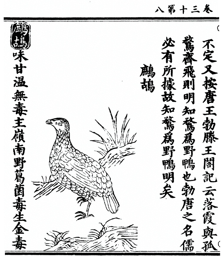 第 2448 页