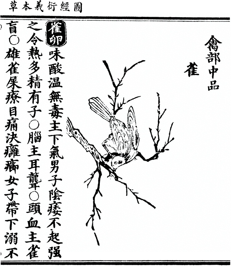 p. 2451