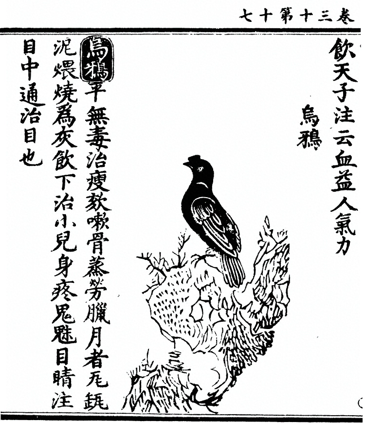 第 2466 页