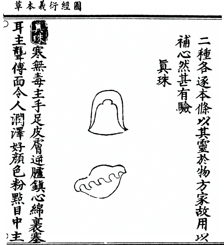 第 2519 页