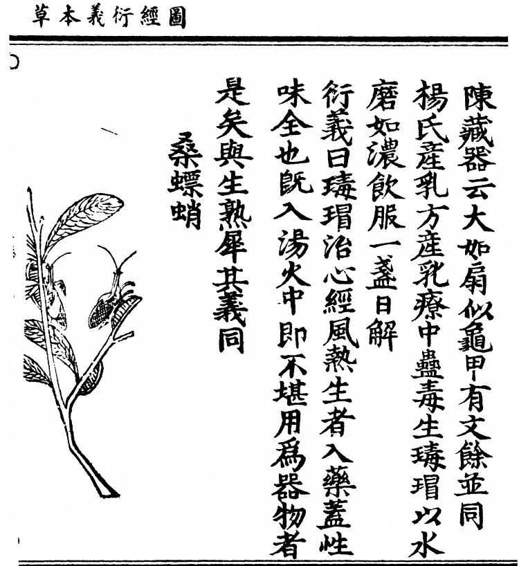 第 2525 页