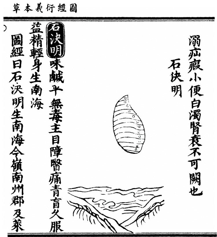 第 2531 页