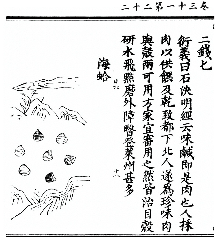 第 2534 页