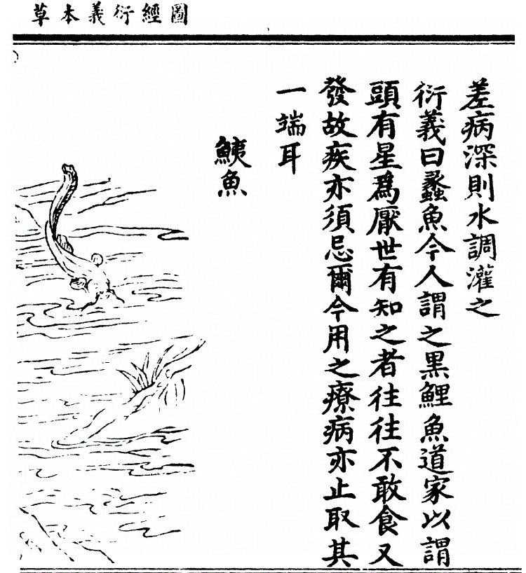 第 2543 页