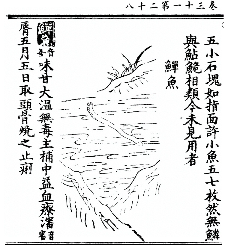第 2546 页