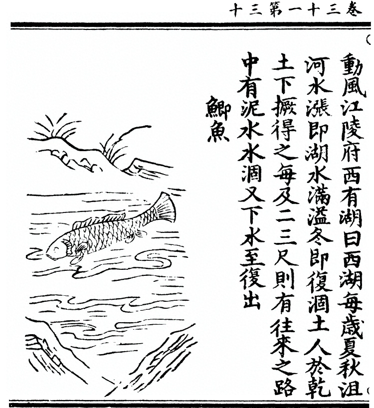 p. 2550