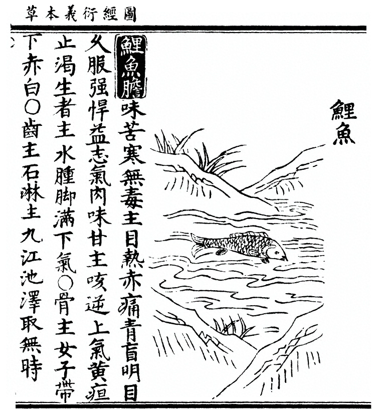 第 2555 页