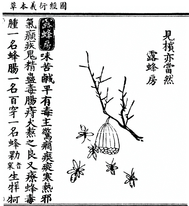 第 2575 页