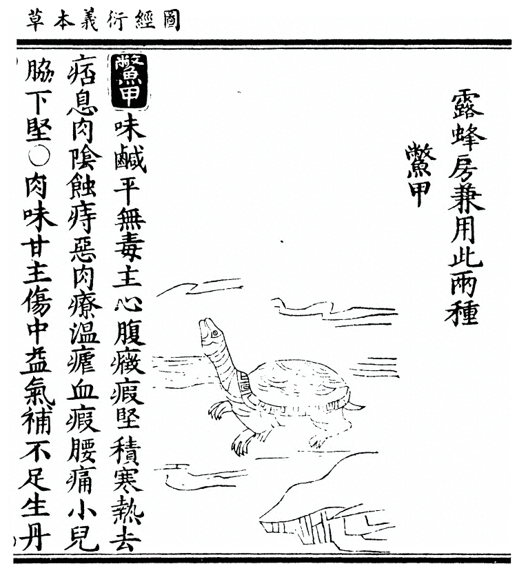 第 2581 页
