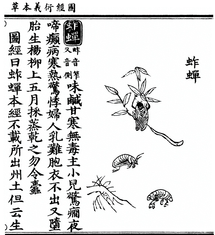 p. 2593