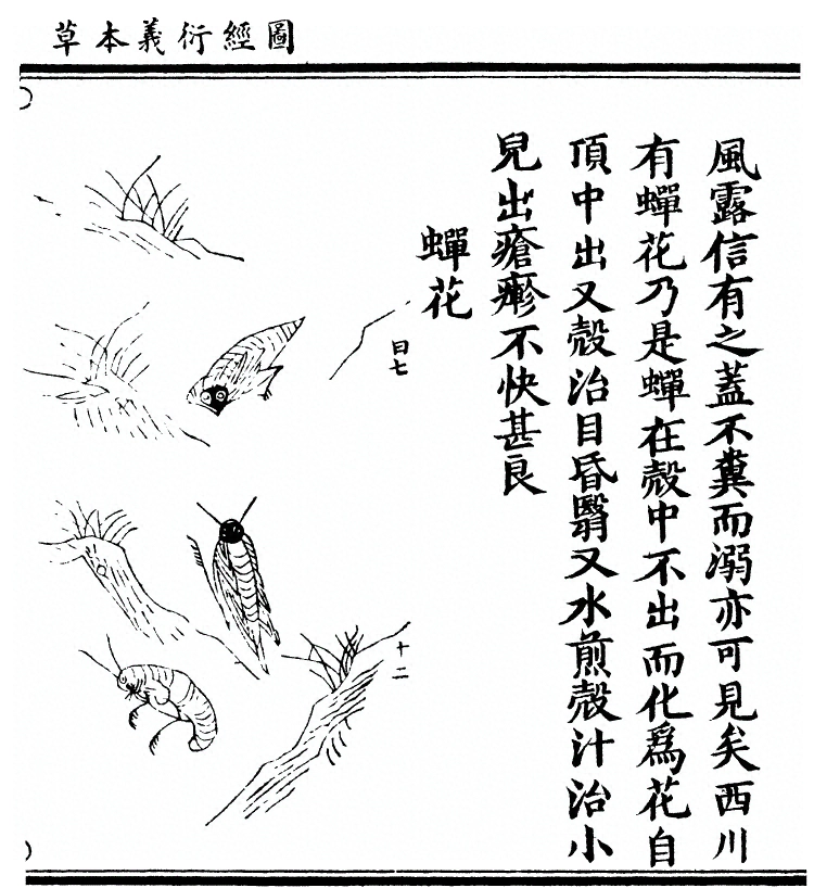 第 2597 页
