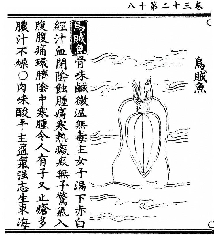 第 2604 页