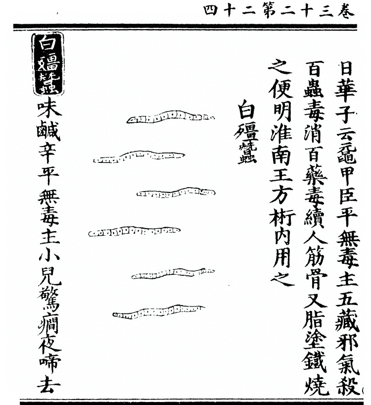 第 2616 页