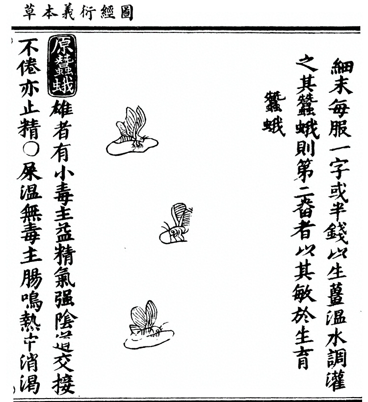 p. 2621