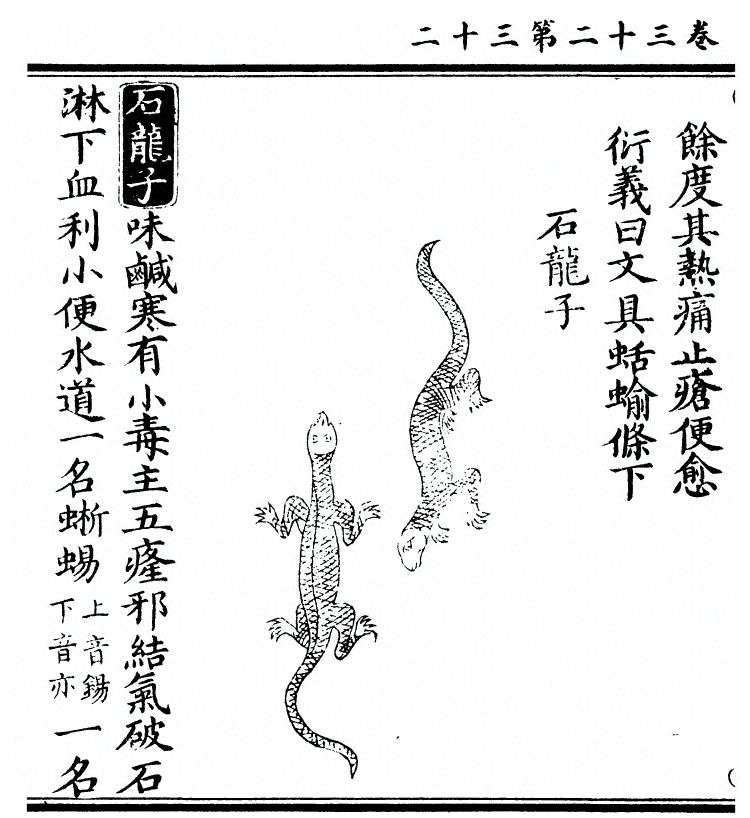 第 2632 页