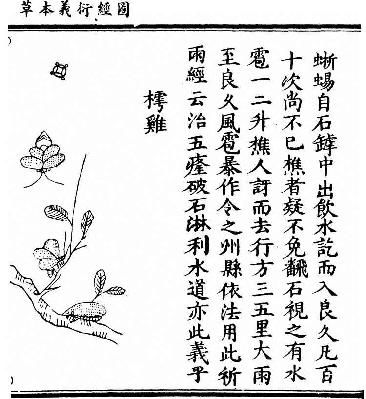 第 2635 页