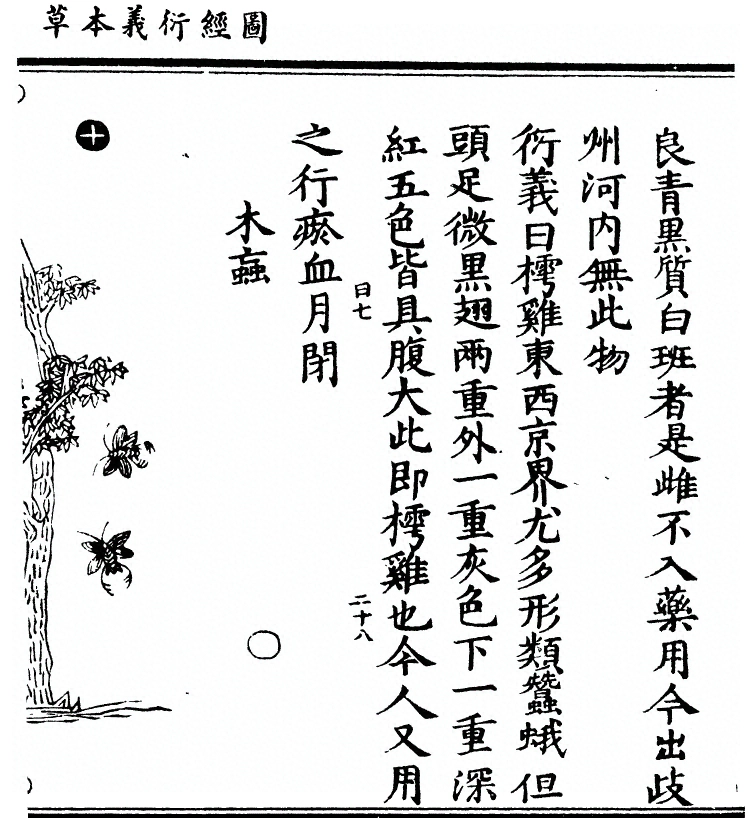 p. 2637