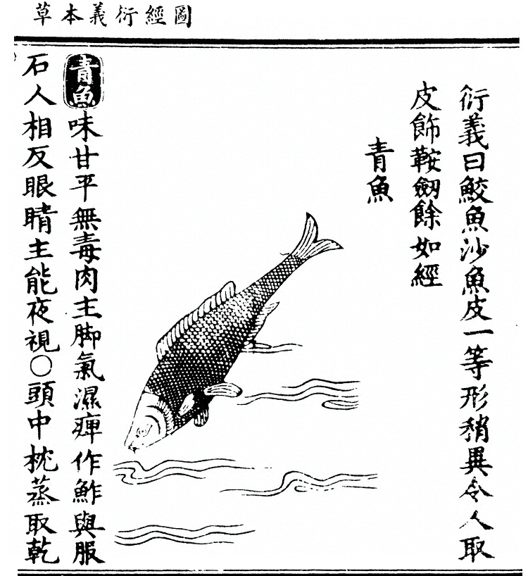 第 2647 页