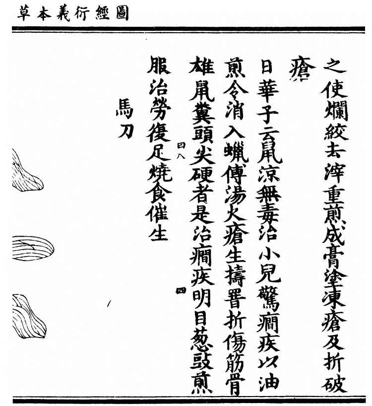 第 2671 页