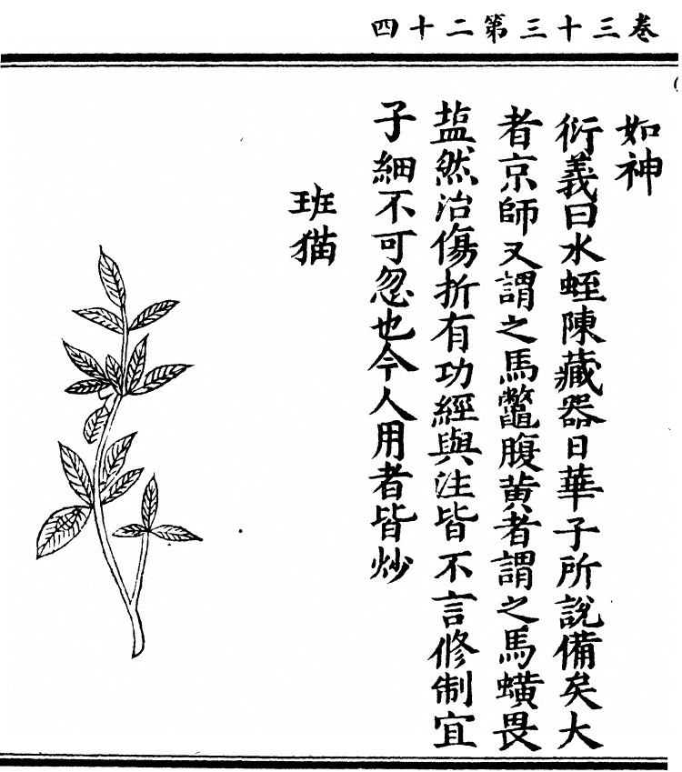第 2710 页