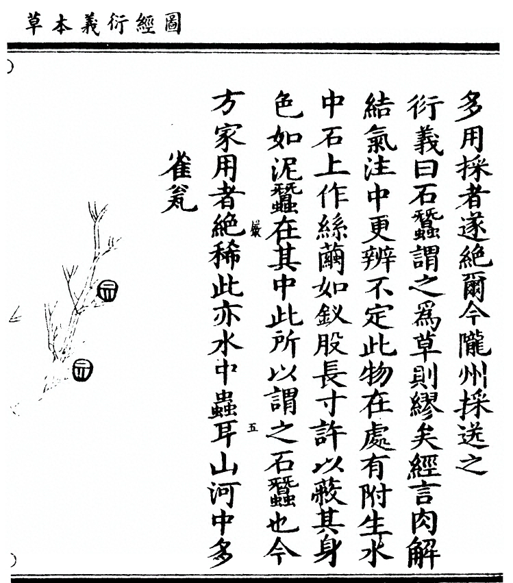 第 2733 页