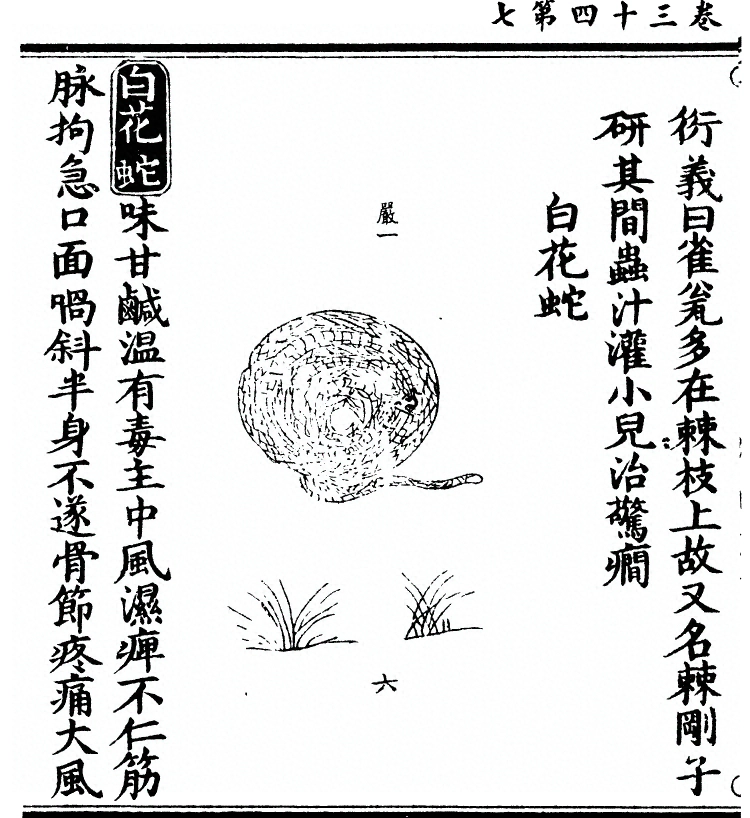 第 2736 页