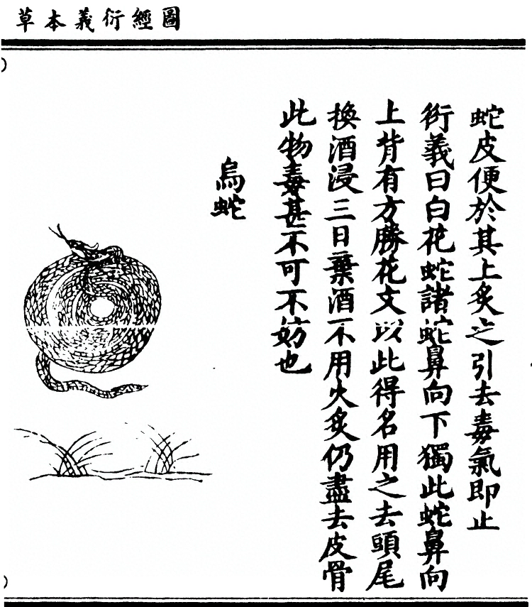 第 2739 页