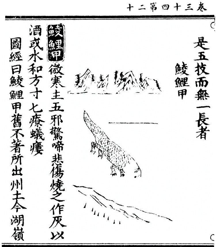 第 2762 页