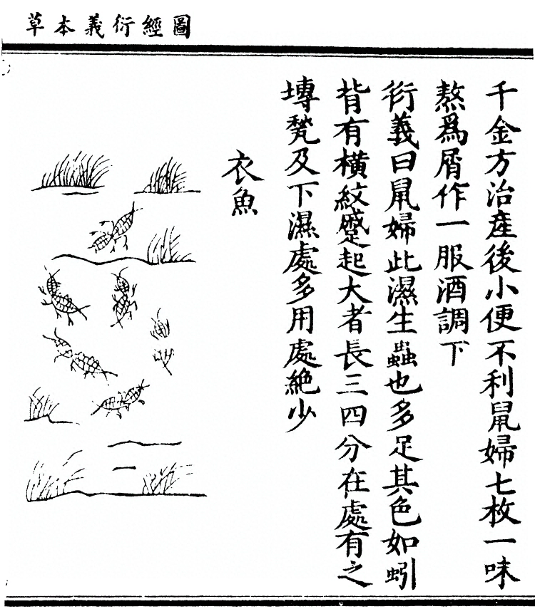 第 2775 页