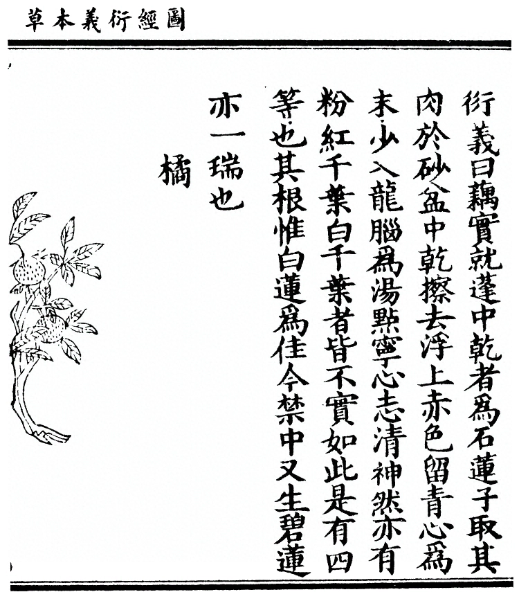 第 2804 页
