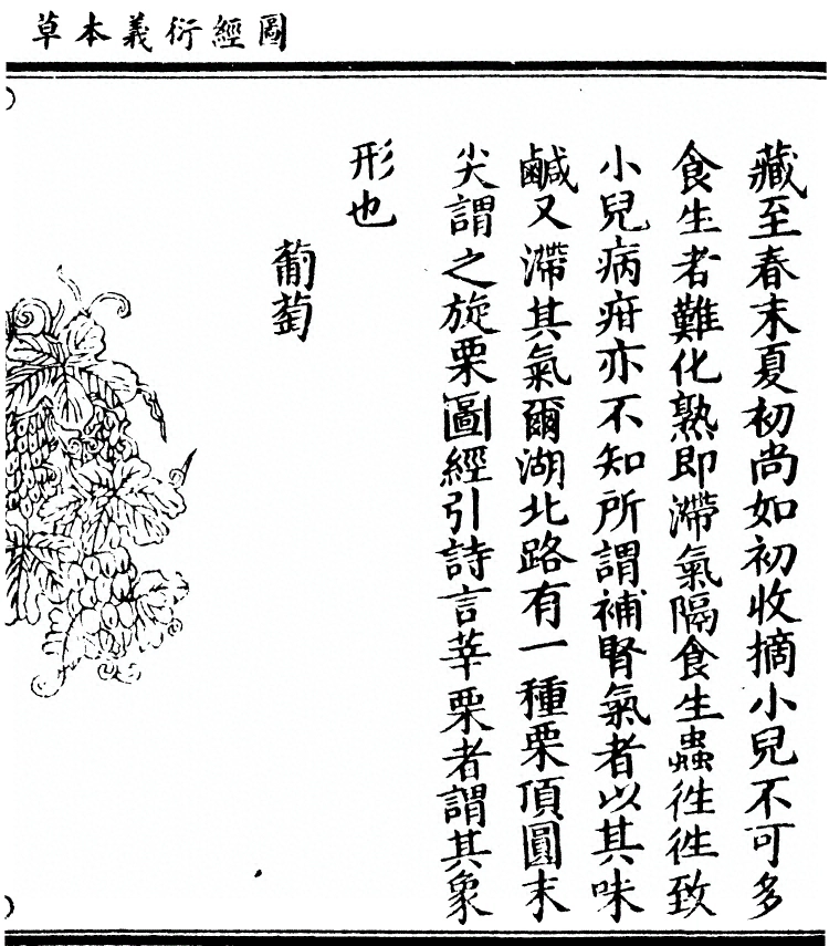 第 2826 页