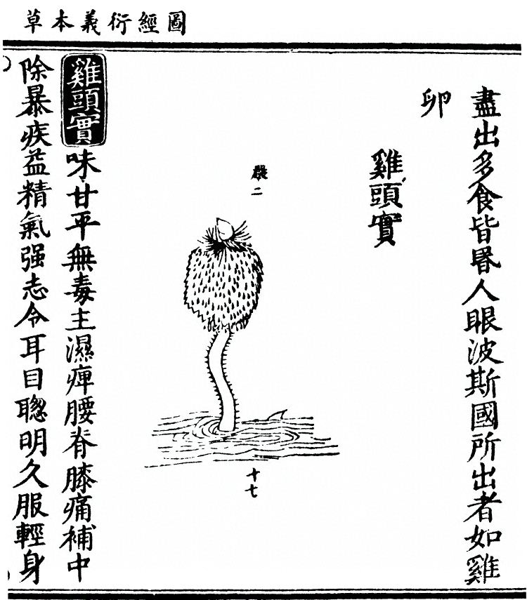 第 2830 页