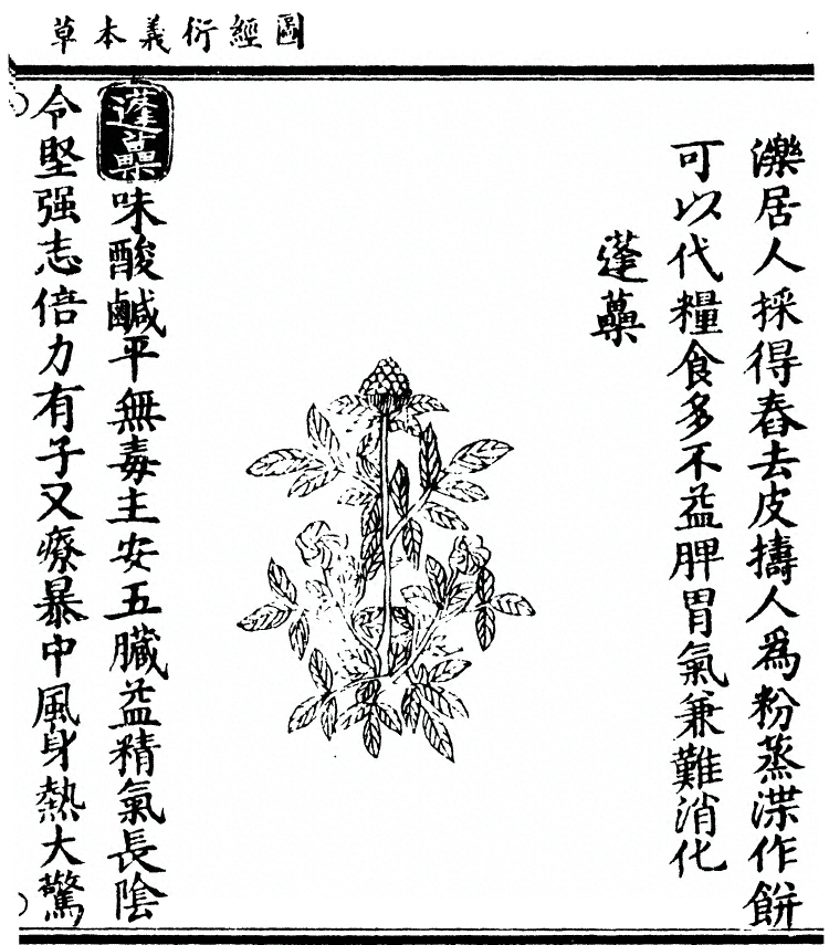 p. 2834