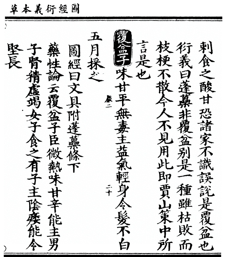 第 2838 页