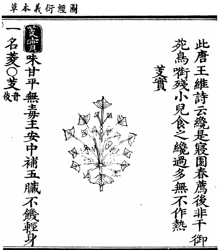 第 2844 页