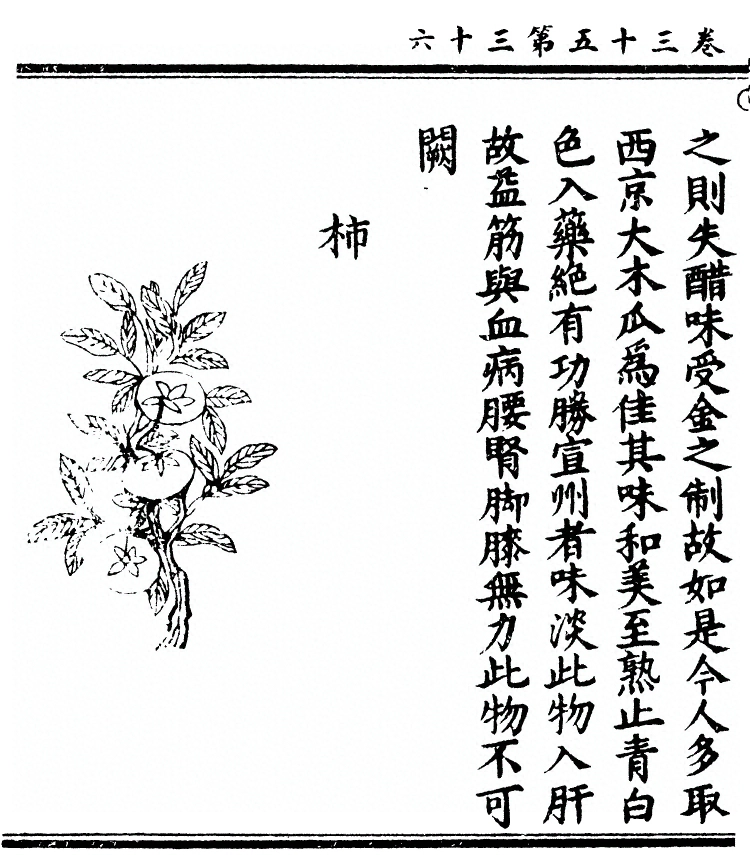 第 2861 页