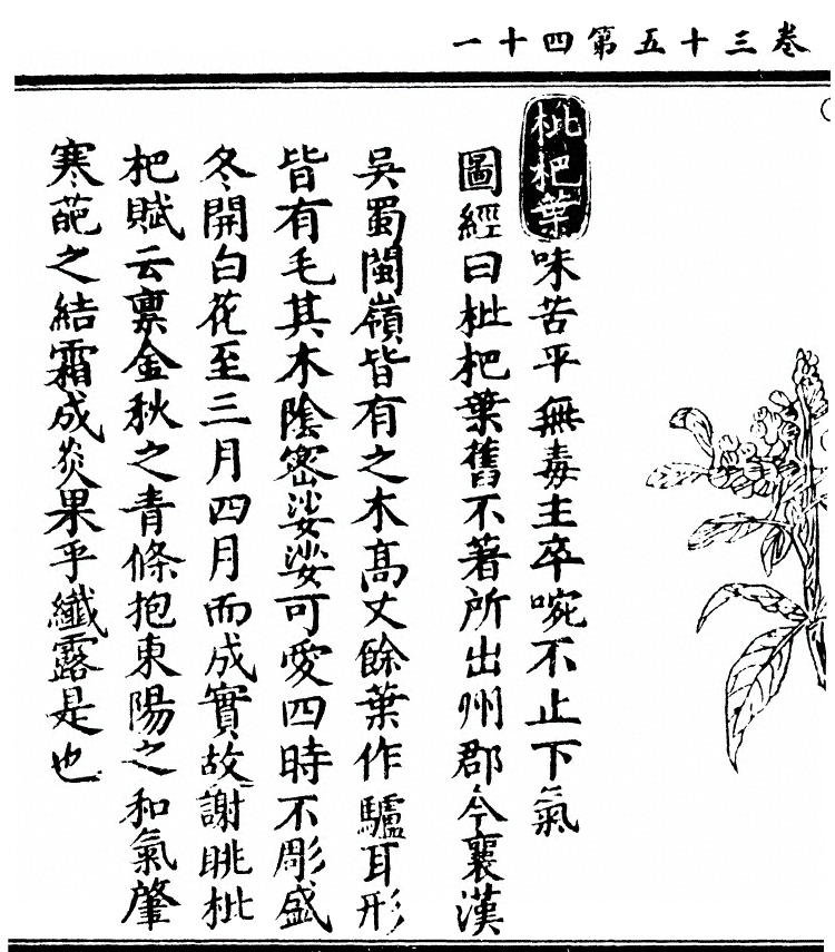 p. 2871