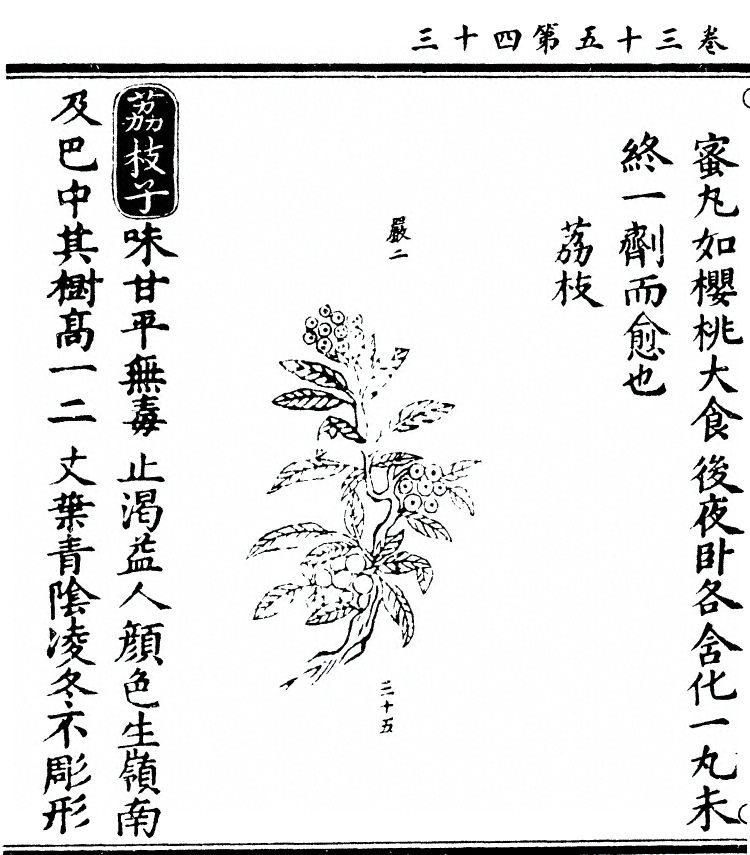 第 2875 页