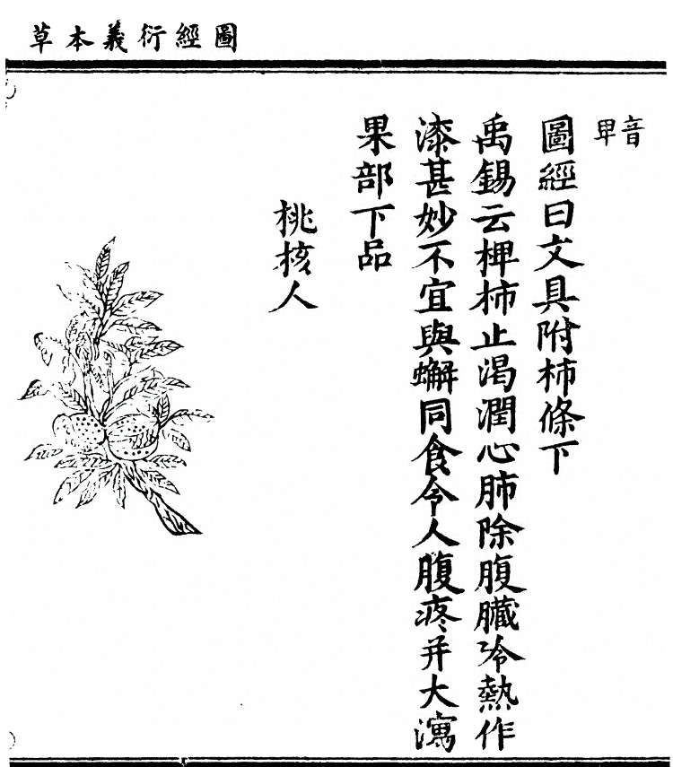 第 2892 页