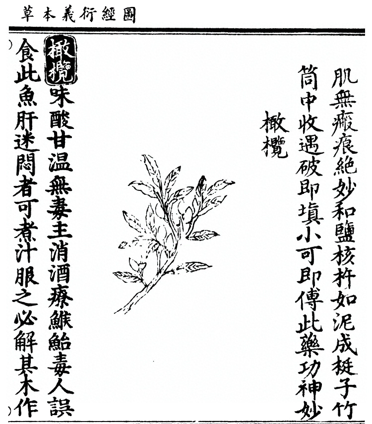 第 2938 页