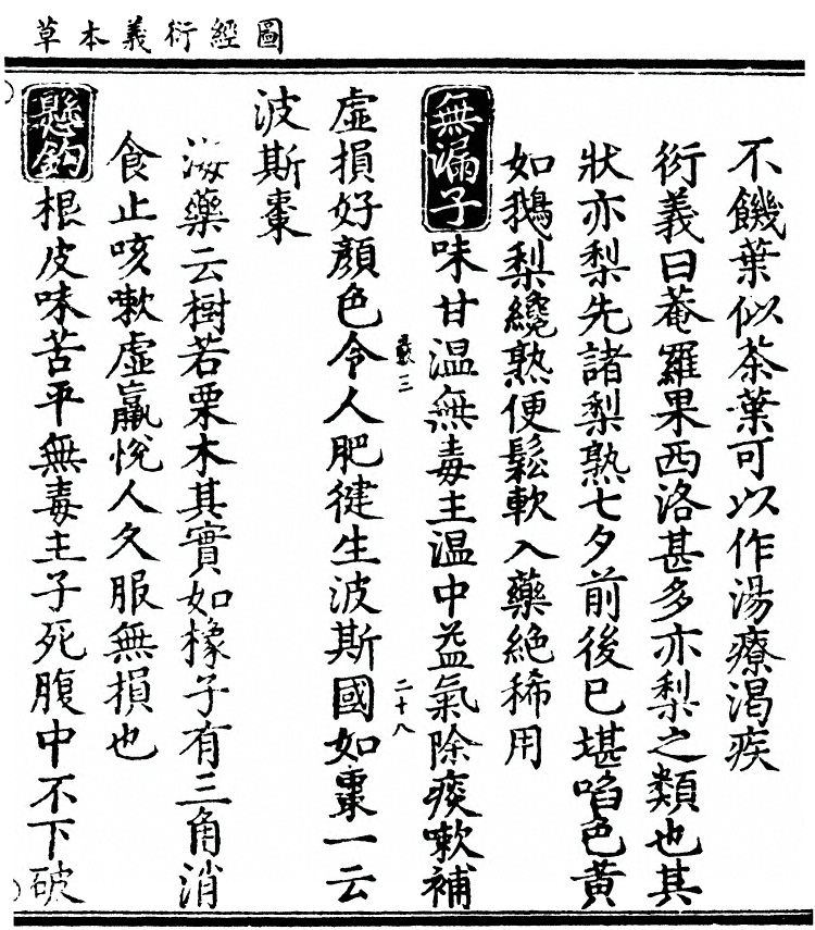 第 2954 页