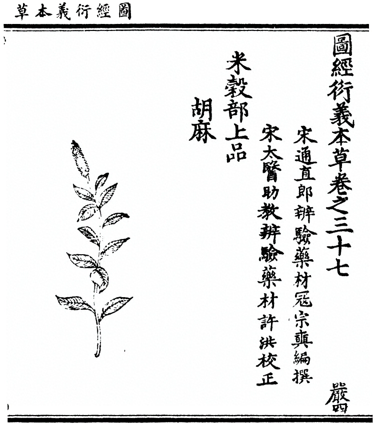 第 2957 页