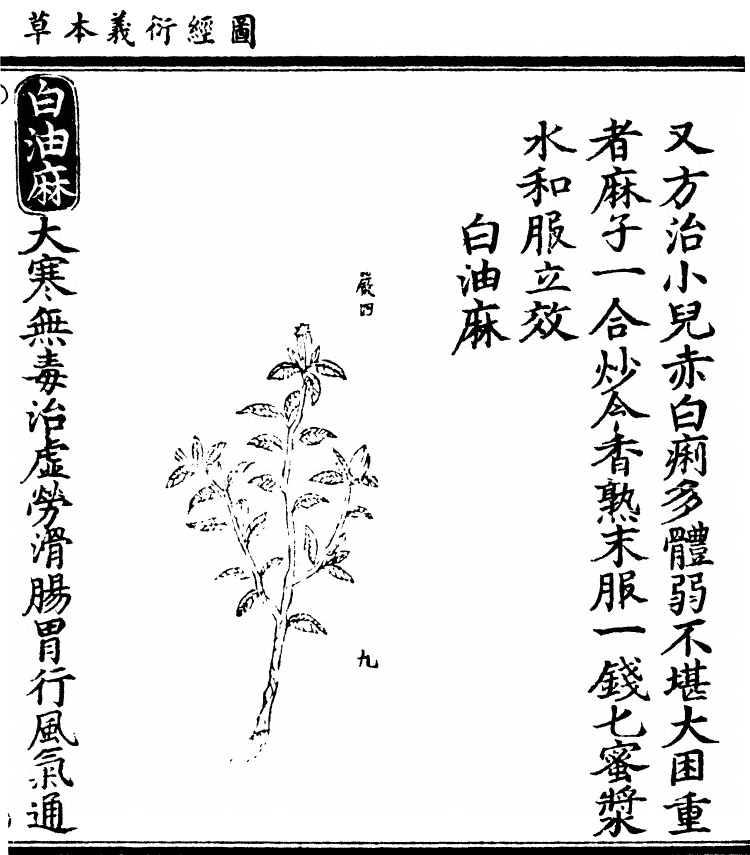 第 2977 页