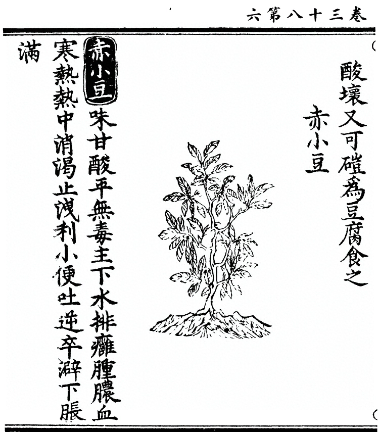 第 2996 页