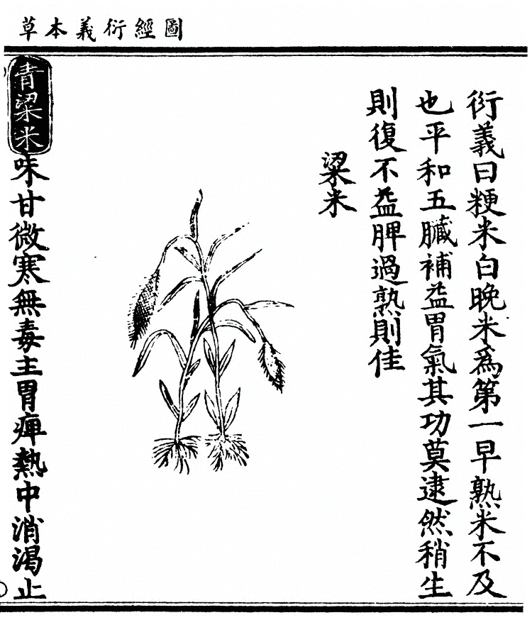 第 3019 页