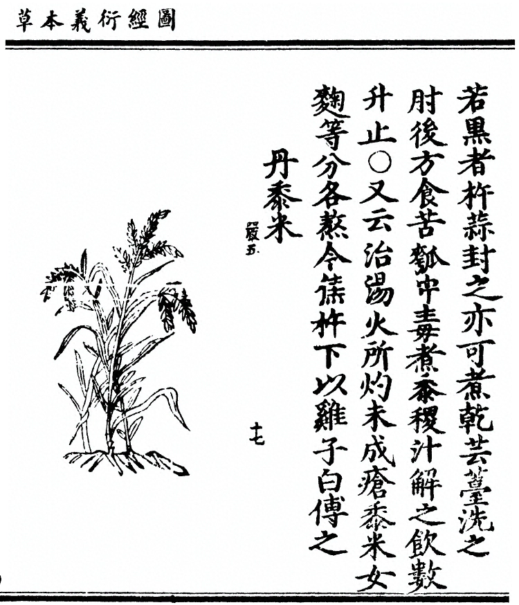第 3025 页
