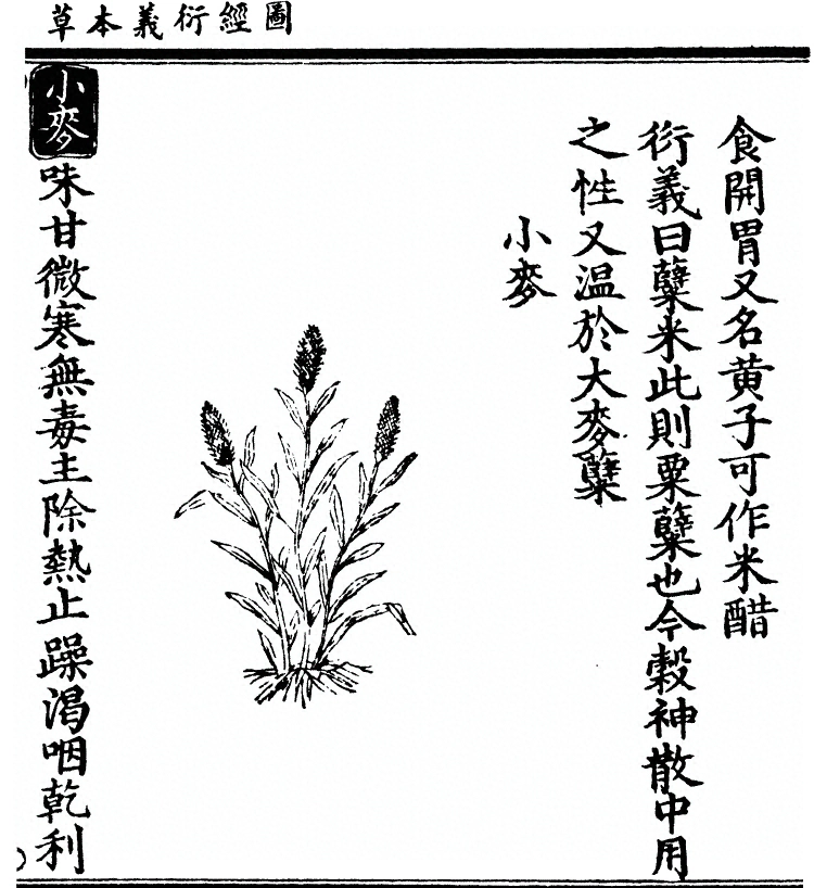 第 3031 页