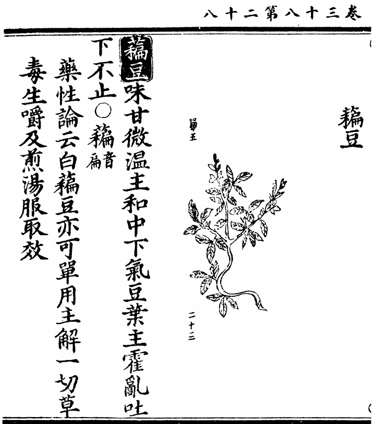 第 3040 页