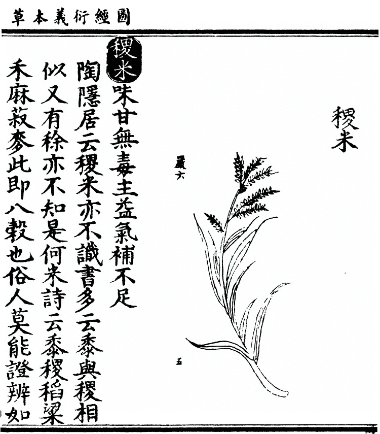 第 3060 页
