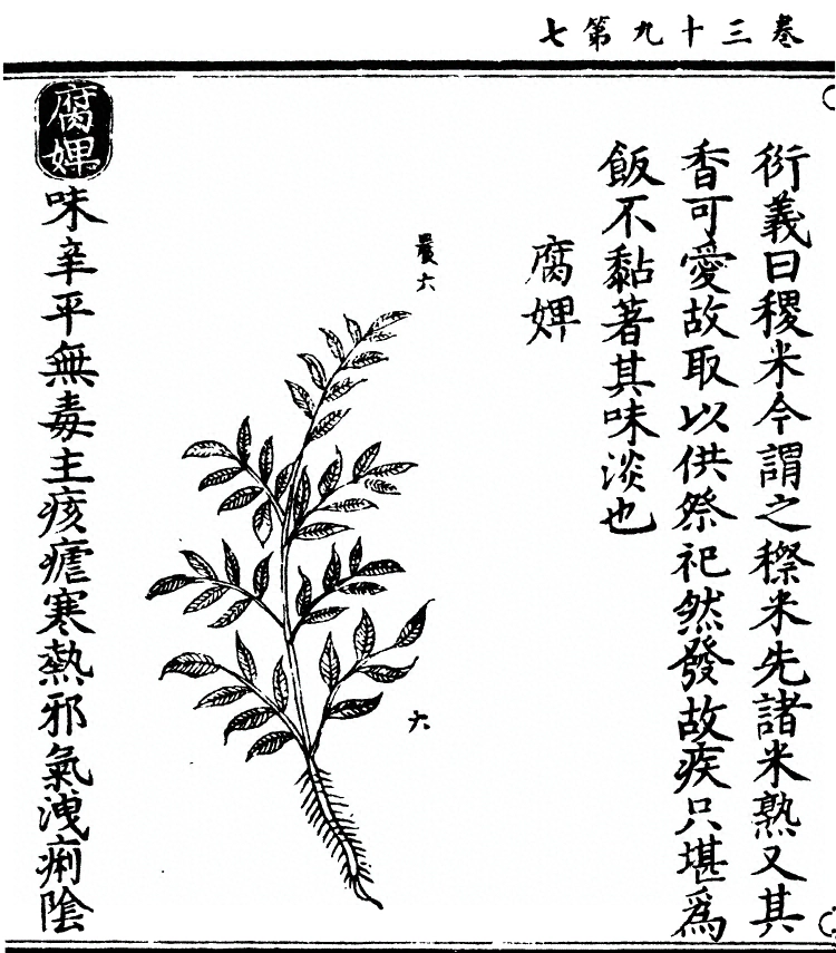 p. 3063